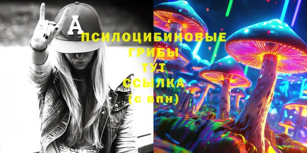 дмт Касимов
