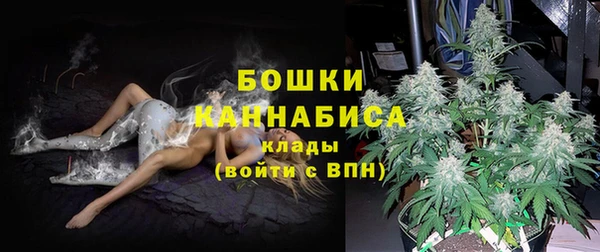 дмт Касимов