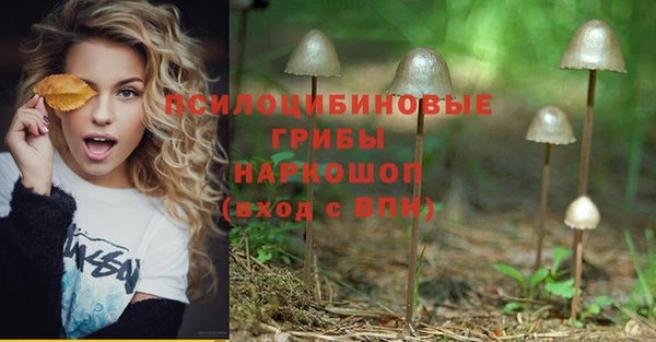 дмт Касимов