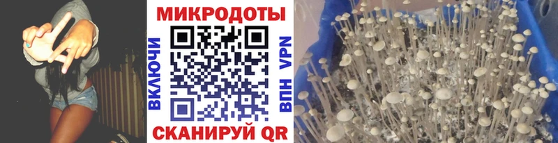 Купить где  Малмыж  Галлюциногенные грибы Cubensis 